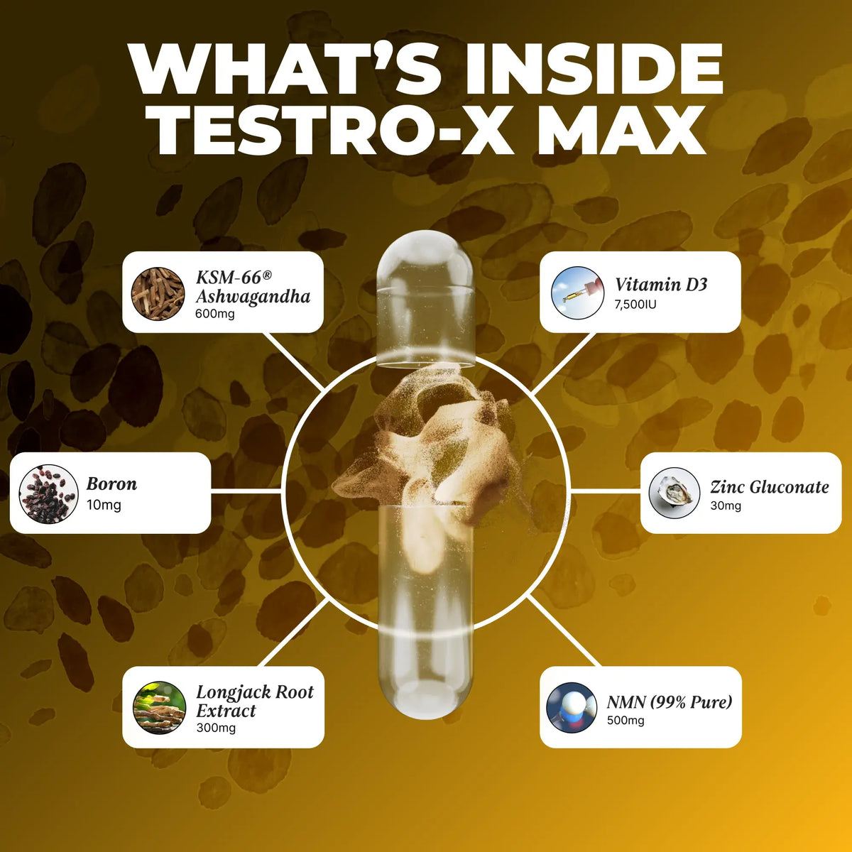Testro-X MAX