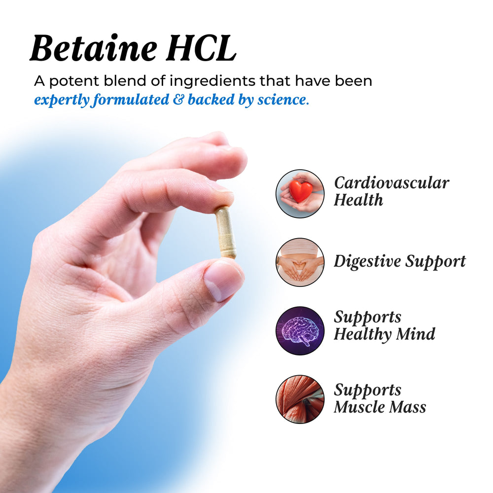 Betaine HCl: 3 Pack Bundle Bundles UMZU
