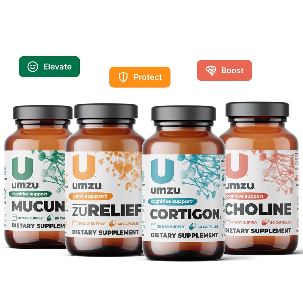 Brain Bundle: zuRelief, Mucuna Pruriens, Cortigon & Choline Bundles UMZU   