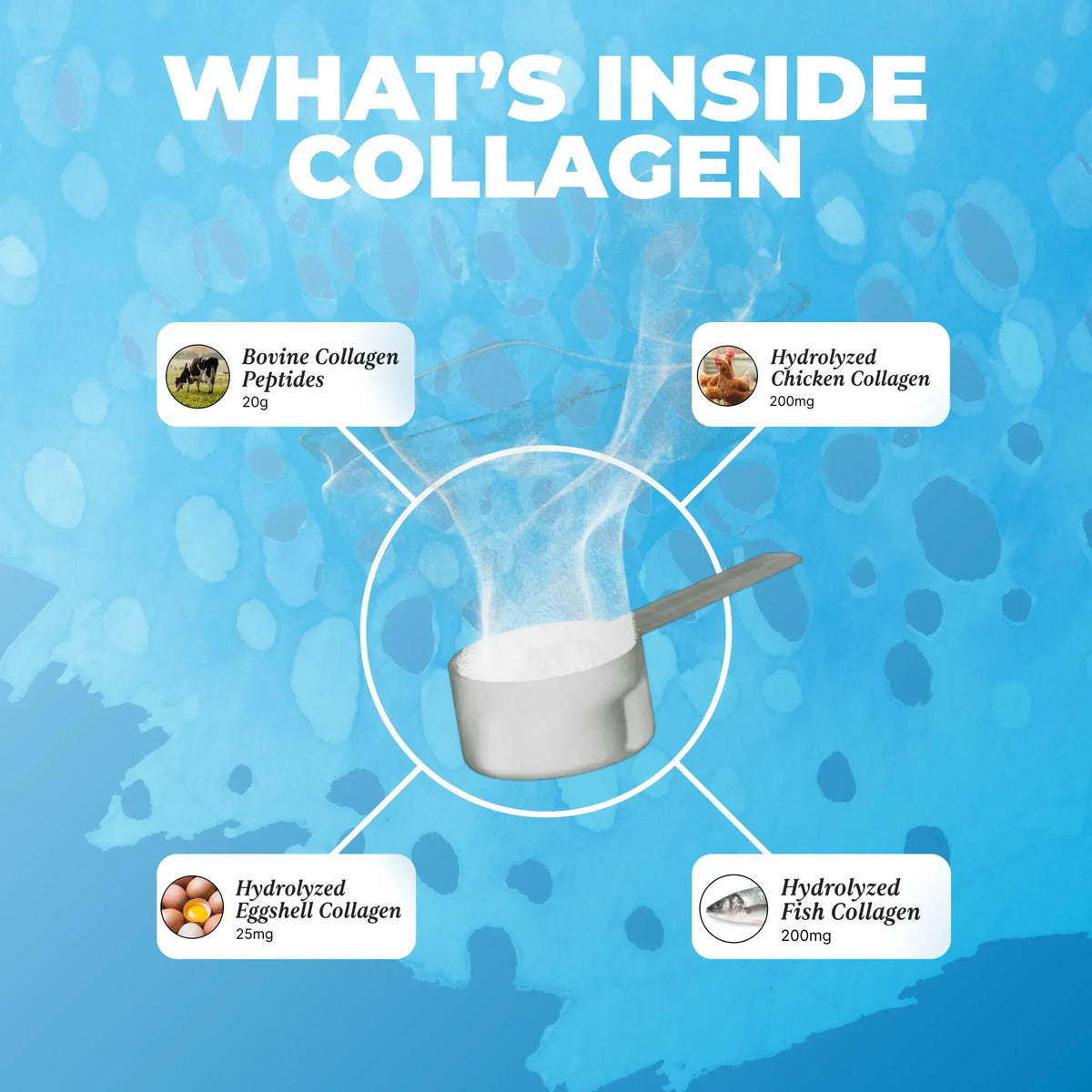 Collagen Protein: 3 Pack Bundle Bundles UMZU
