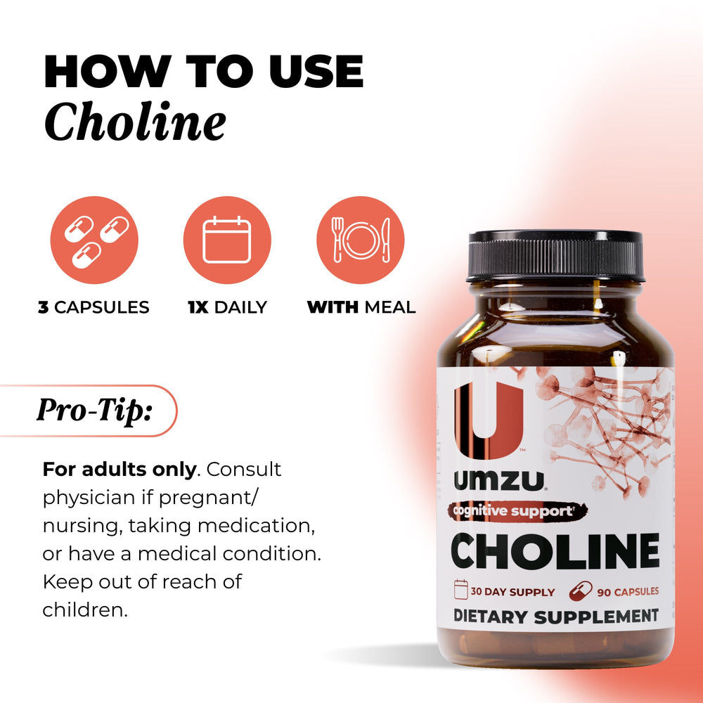 Choline: 3 Pack Bundle Bundles UMZU