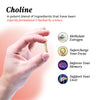 Choline: 3 Pack Bundle Bundles UMZU