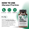 Mucuna Pruriens: 3 Pack Bundle Bundles UMZU