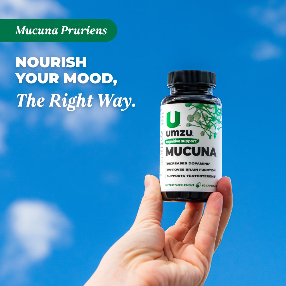 Mucuna Pruriens: 3 Pack Bundle Bundles UMZU