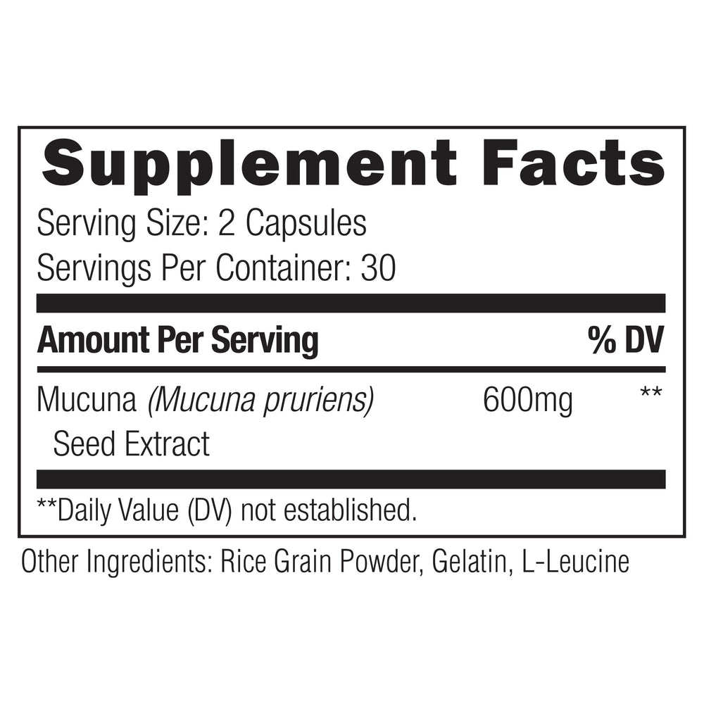 Focus Bundle: Choline, Mucuna Pruriens, Miracle Morning, Cortigon & Daily Magnesium Bundles UMZU   