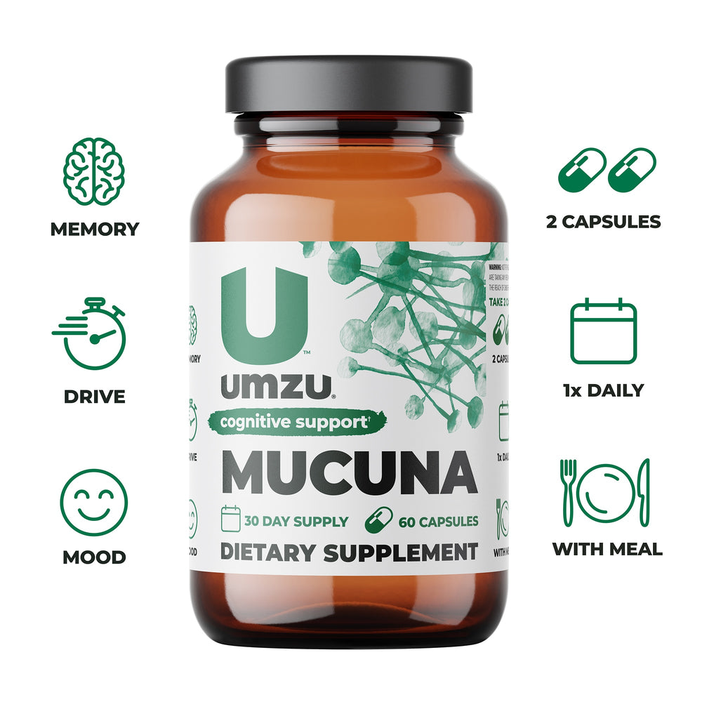 Brain Bundle: zuRelief, Mucuna Pruriens, Cortigon & Choline Bundles UMZU   
