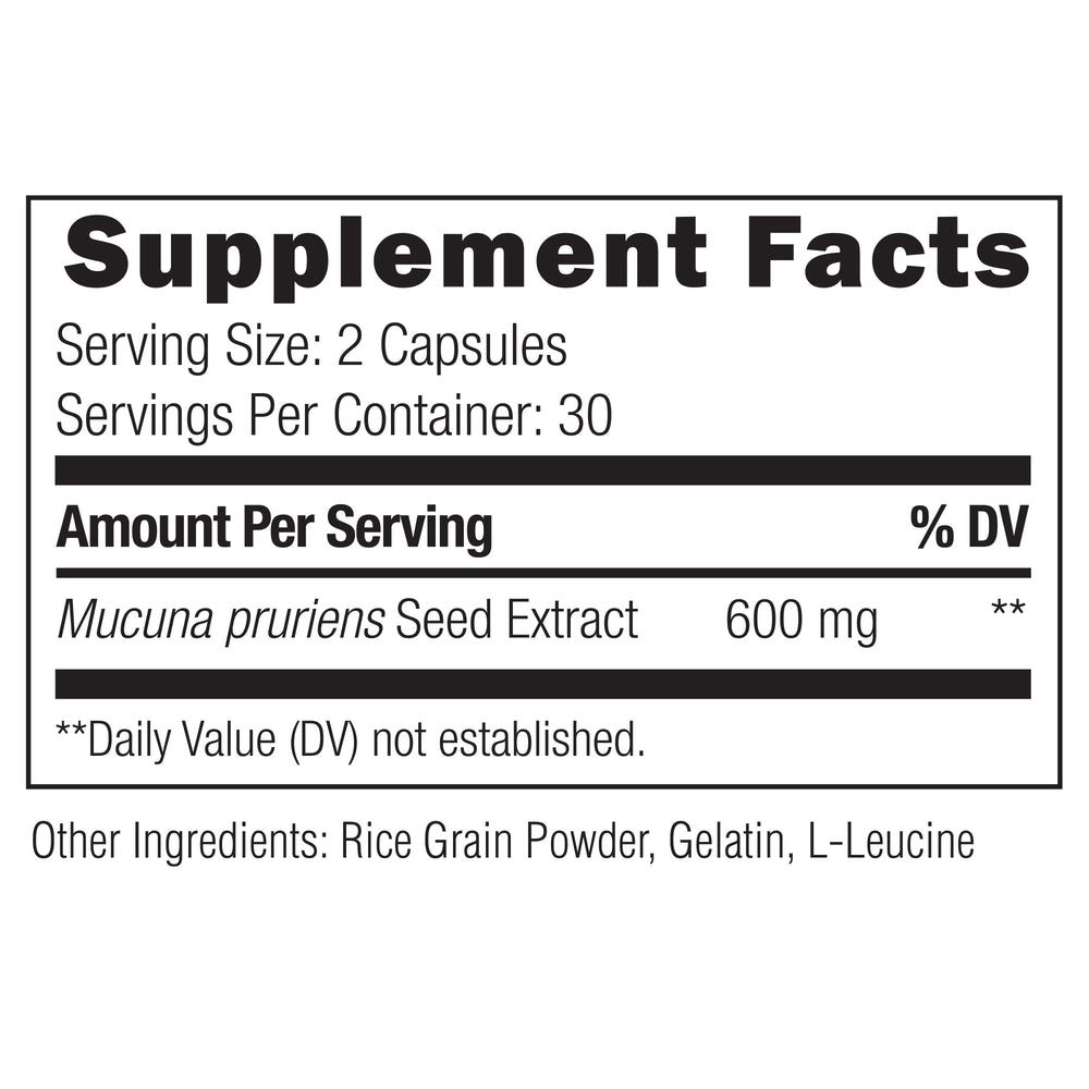 Brain Bundle: zuRelief, Mucuna Pruriens, Cortigon & Choline Bundles UMZU   