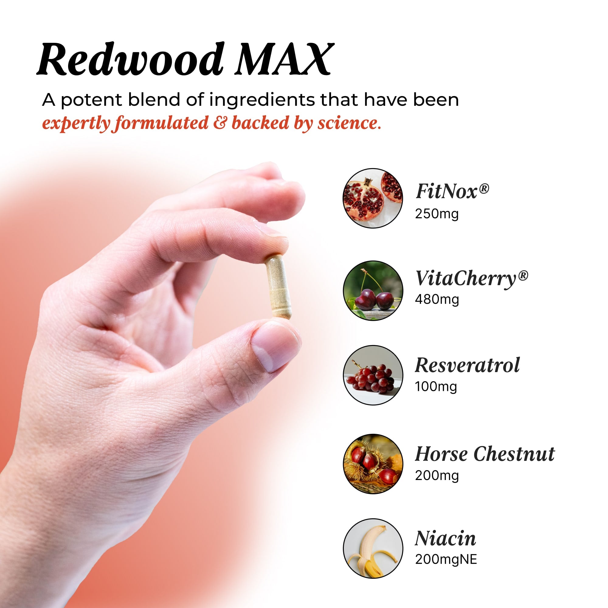 Redwood Max: 3 Pack Bundle (Loop Test Product) Bundles UMZU