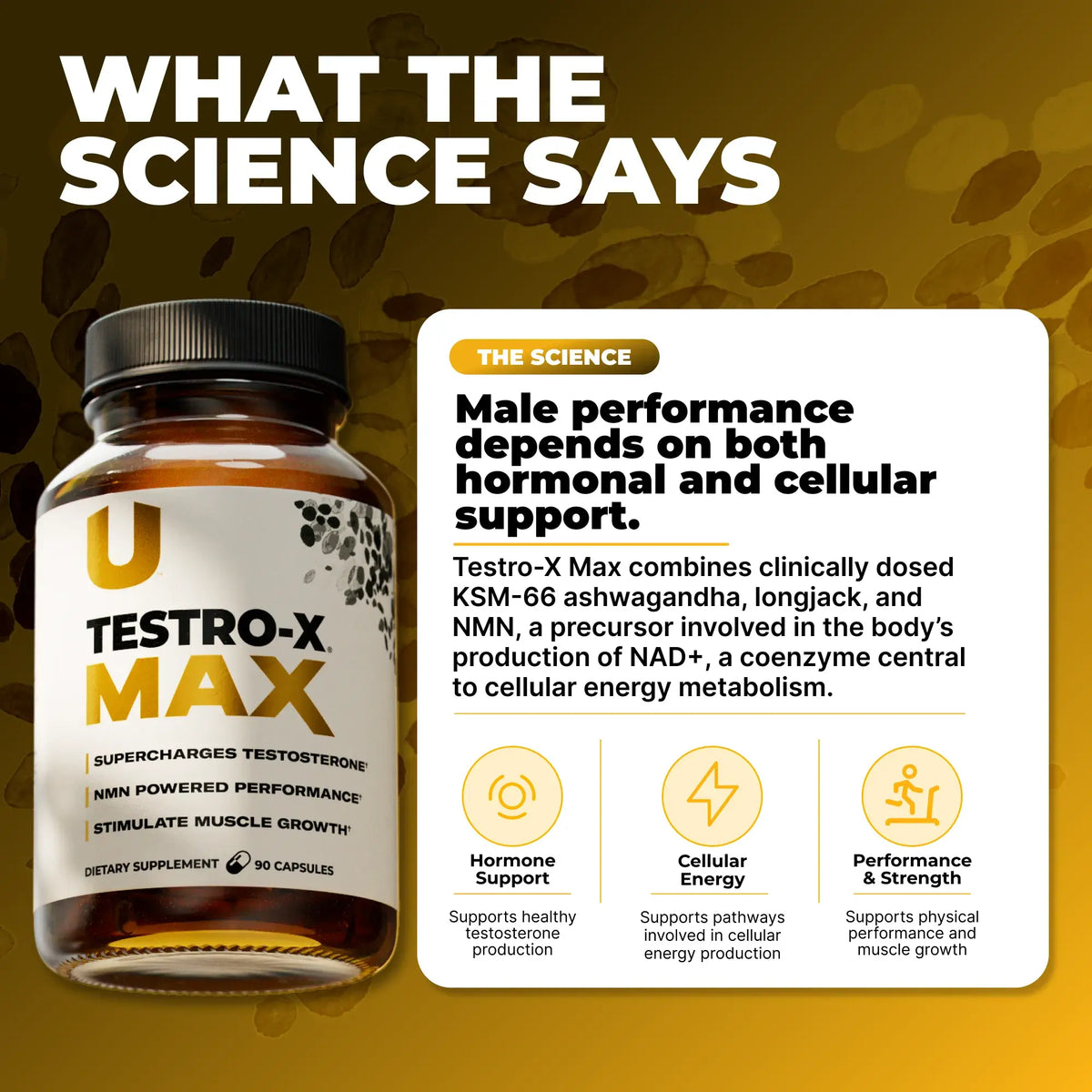 Testro-X MAX