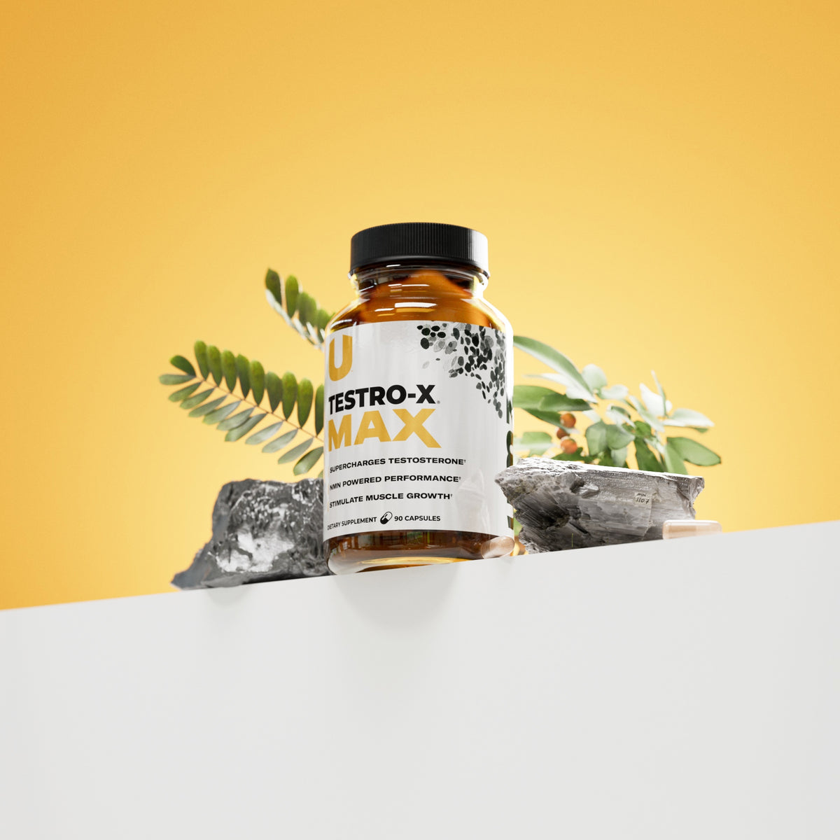 Hormones & Energy