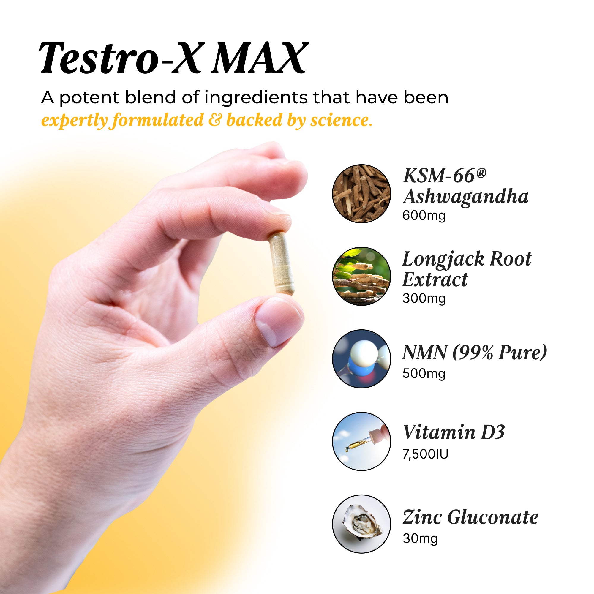 Testro-X MAX: 2 Pack Bundle Capsule UMZU