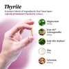 Thyrite: 3 Pack Bundle Bundles UMZU