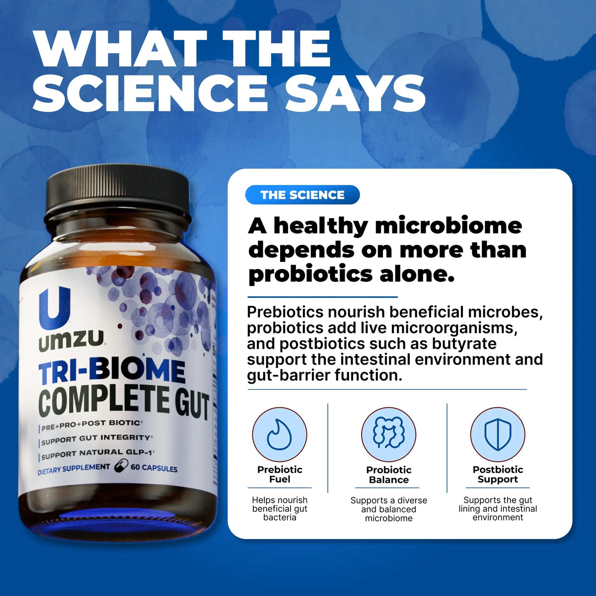 Tri-Biome