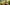 Promotion banner