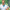 Promotion banner