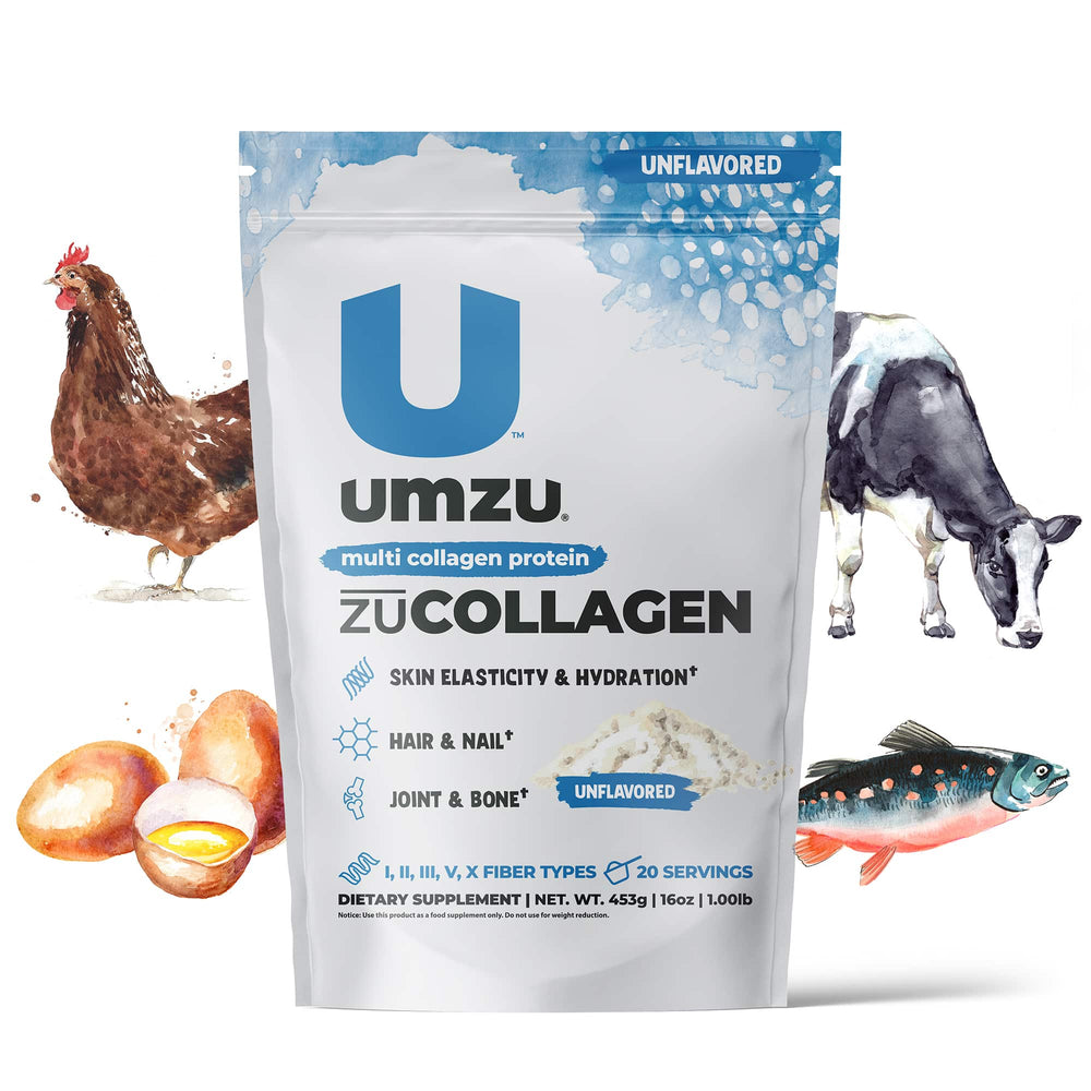 zuCOLLAGEN Protein: Multi-Type Collagen Powder Supplements UMZU   